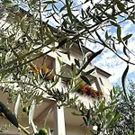 Spacious And Bright Apartment- Silvio 1 דירה באניולה