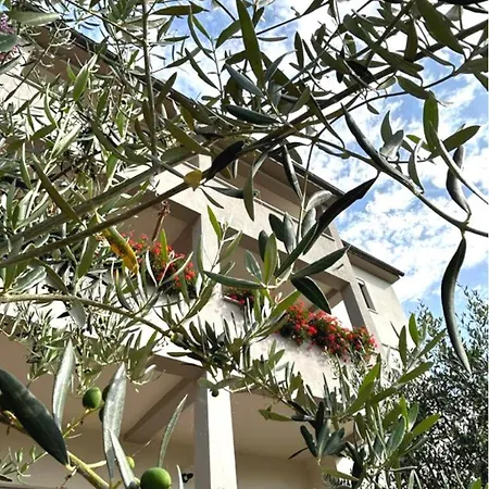 Spacious And Bright Apartment- Silvio 1 Apartment Banjole
