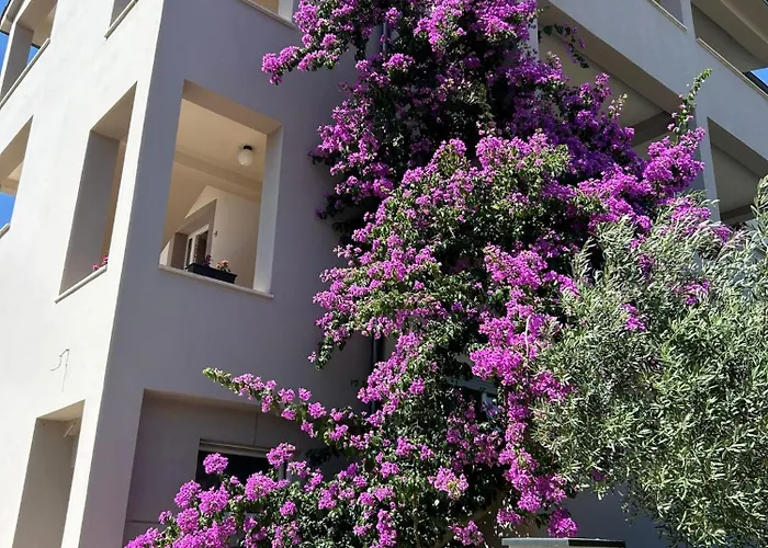 Spacious And Bright Apartment- Silvio 1 아파트