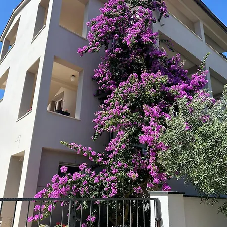 Spacious And Bright Apartment- Silvio 1 Lejlighed