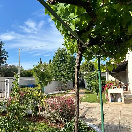 Lejlighed Spacious And Bright Apartment- Silvio 1