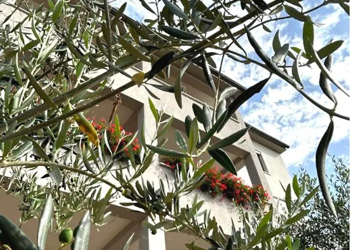 Spacious And Bright Apartment- Silvio 1 Lejlighed Banjole